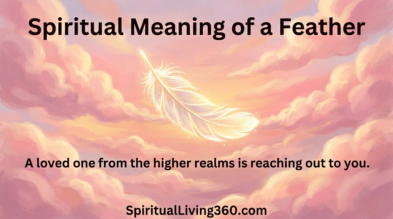 A glowing white feather floats through a soft pink and gold sunset sky. The bold title Spiritual Meaning of a Feather is prominently displayed at the top. A central statement about loved ones in higher realms is visible. The website SpiritualLiving360.com is at the bottom.