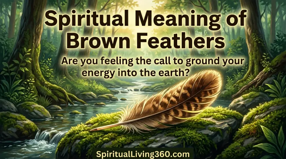 An artistic illustration shows a brown feather lying on a mossy rock by a small stream. The bold title Spiritual Meaning of Brown Feathers is located at the top. A central question about grounding energy is featured in the middle of the artwork. The bottom of the image includes the text SpiritualLiving360.com.