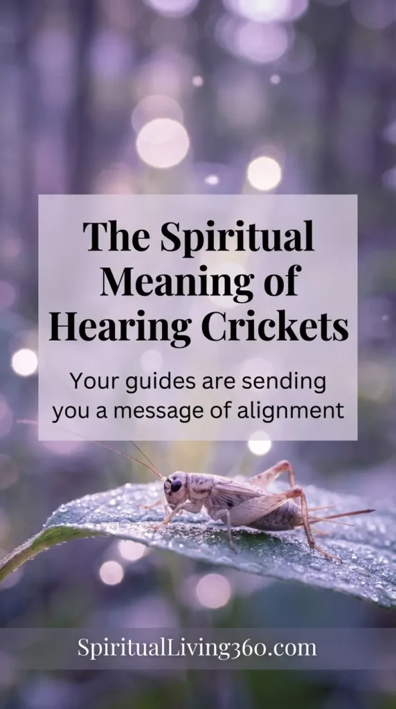 A high-resolution close-up photo shows a small brown cricket perched on a vibrant green leaf glistening with morning dew. The background is a soft blur of lavender and deep forest greens with glowing light orbs. A semi-transparent white box in the center contains the text "The Spiritual Meaning of Hearing Crickets" and "Your guides are sending you a message of alignment." The website "SpiritualLiving360.com" is written in small letters at the very bottom of the image.